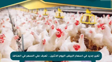 تغير جديد في أسعار البيض اليوم الاثنين.. تعرف على السعر في المنافذ